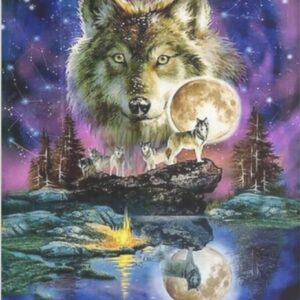 Diamond Painting Magische Wolven voorbeeldafbeelding van het volledige ontwerp