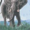 Diamond Painting Olifant in de natuur voorbeeldafbeelding van het volledige ontwerp