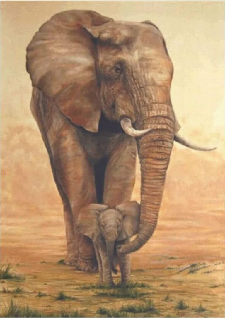 Diamond Painting Olifant met Kalfje op de Savanne voorbeeldafbeelding van het volledige ontwerp