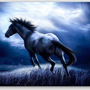 Diamond Painting Paard in het donker voorbeeldafbeelding van het volledige ontwerp