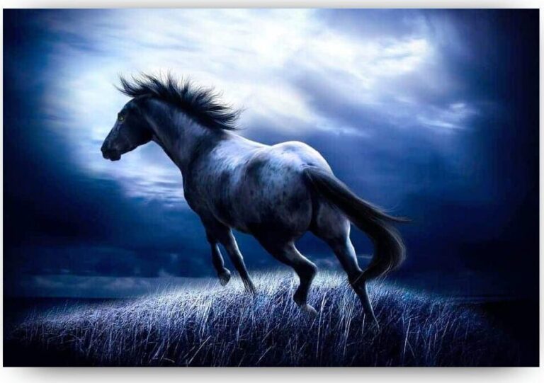 Diamond Painting Paard in het donker voorbeeldafbeelding van het volledige ontwerp