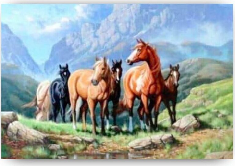 Diamond Painting Paarden in een veld voorbeeldafbeelding van het volledige ontwerp