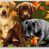 Diamond Painting Prachtige Honden voorbeeldafbeelding van het volledige ontwerp