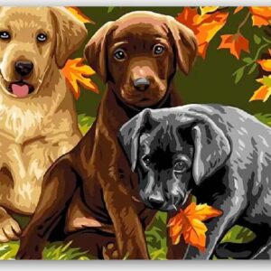 Diamond Painting Prachtige Honden voorbeeldafbeelding van het volledige ontwerp