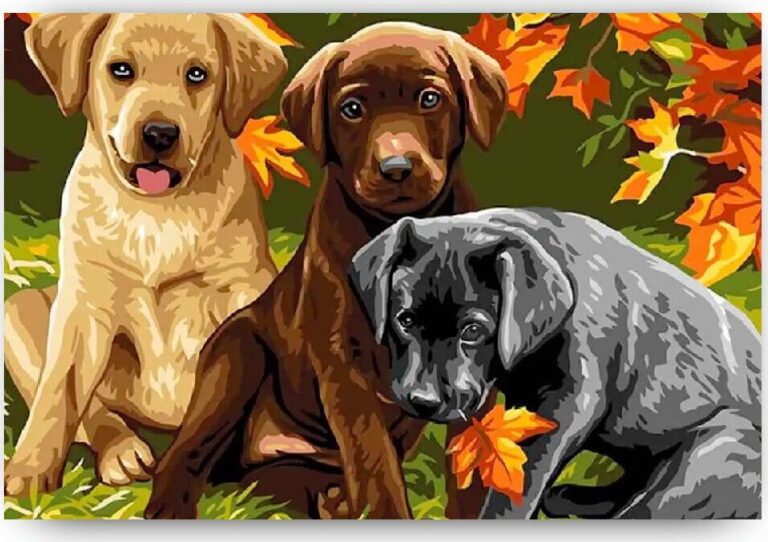Diamond Painting Prachtige Honden voorbeeldafbeelding van het volledige ontwerp
