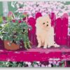 Diamond Painting Puppy op de bank voorbeeldafbeelding van het volledige ontwerp