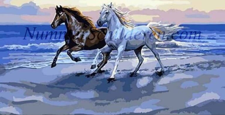 Diamond Painting Rennende paarden aan de zee voorbeeldafbeelding van het volledige ontwerp
