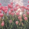Diamond Painting Roze Tulp voorbeeldafbeelding van het volledige ontwerp