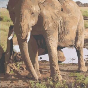 Diamond Painting Safari Olifant voorbeeldafbeelding van het volledige ontwerp