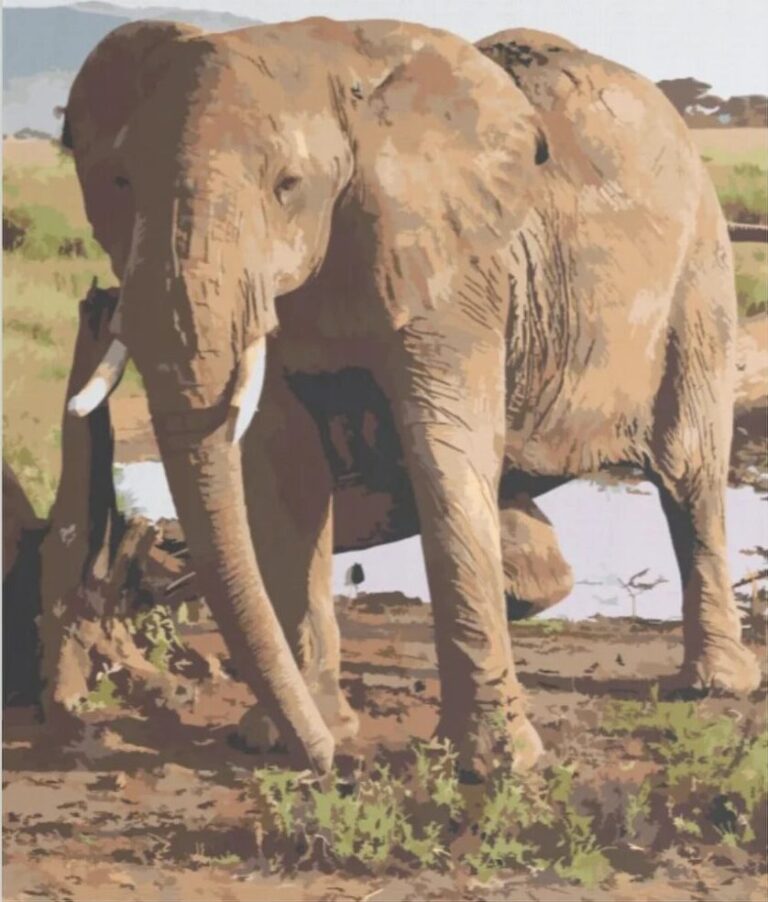 Diamond Painting Safari Olifant voorbeeldafbeelding van het volledige ontwerp