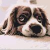 Diamond Painting Schattig hondje voorbeeldafbeelding van het volledige ontwerp