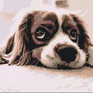 Diamond Painting Schattig hondje voorbeeldafbeelding van het volledige ontwerp