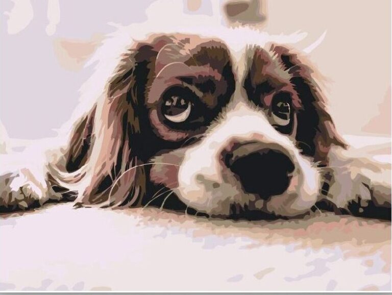 Diamond Painting Schattig hondje voorbeeldafbeelding van het volledige ontwerp