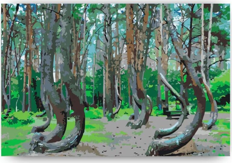 Diamond Painting Scheve Bos, Polen voorbeeldafbeelding van het volledige ontwerp