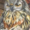 Diamond Painting Schrijver Uil voorbeeldafbeelding van het volledige ontwerp