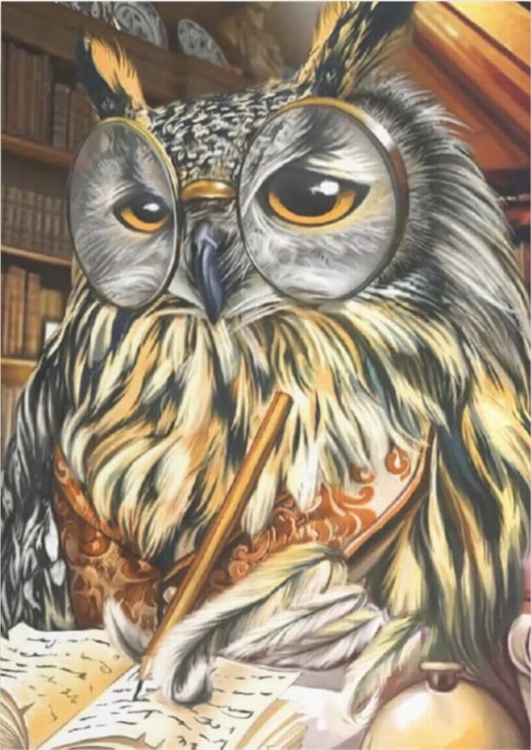 Diamond Painting Schrijver Uil voorbeeldafbeelding van het volledige ontwerp