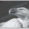 Diamond Painting Sup voorbeeldafbeelding van het volledige ontwerp