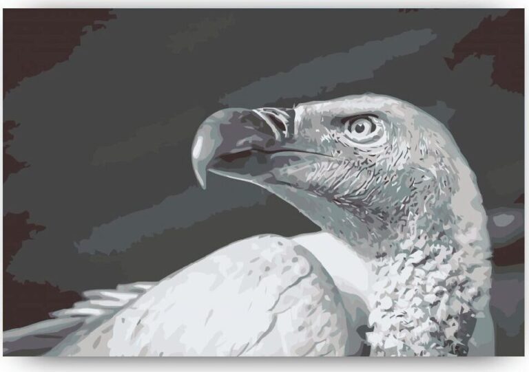Diamond Painting Sup voorbeeldafbeelding van het volledige ontwerp