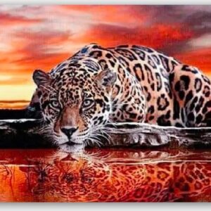 Diamond Painting Tijger Aan Het Water voorbeeldafbeelding van het volledige ontwerp