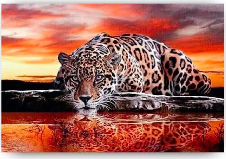 Diamond Painting Tijger Aan Het Water voorbeeldafbeelding van het volledige ontwerp