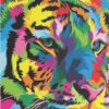 Diamond Painting Tijger gezicht voorbeeldafbeelding van het volledige ontwerp