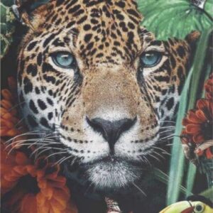 Diamond Painting Tijger in de jungle voorbeeldafbeelding van het volledige ontwerp