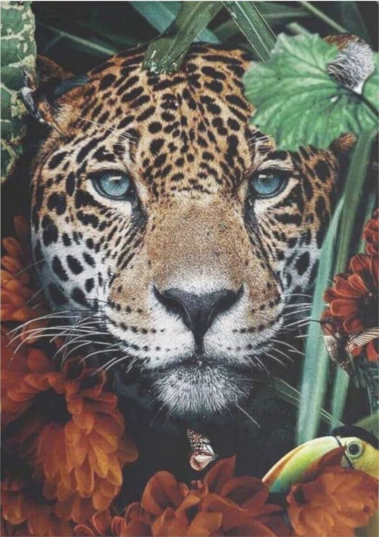 Diamond Painting Tijger in de jungle voorbeeldafbeelding van het volledige ontwerp