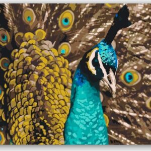 Diamond Painting Trotse Pauw - SEOS voorbeeldafbeelding van het volledige ontwerp