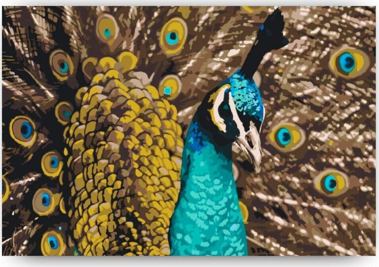 Diamond Painting Trotse Pauw - SEOS voorbeeldafbeelding van het volledige ontwerp