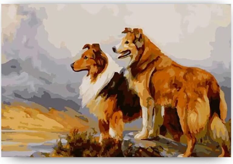 Diamond Painting Twee Prachtige Honden voorbeeldafbeelding van het volledige ontwerp