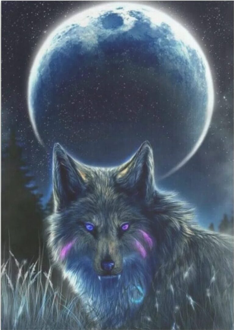 Diamond Painting Volle Maan Wolf voorbeeldafbeelding van het volledige ontwerp