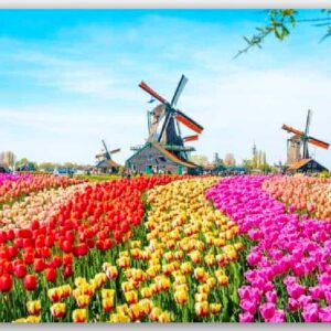 Diamond Painting Windmolens met Nederlandse tulpen voorbeeldafbeelding van het volledige ontwerp
