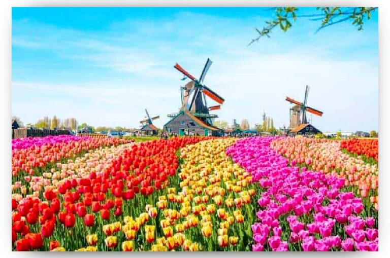 Diamond Painting Windmolens met Nederlandse tulpen voorbeeldafbeelding van het volledige ontwerp