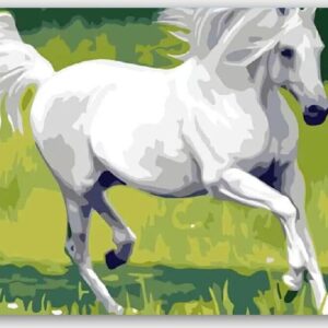 Diamond Painting Wit Paard voorbeeldafbeelding van het volledige ontwerp