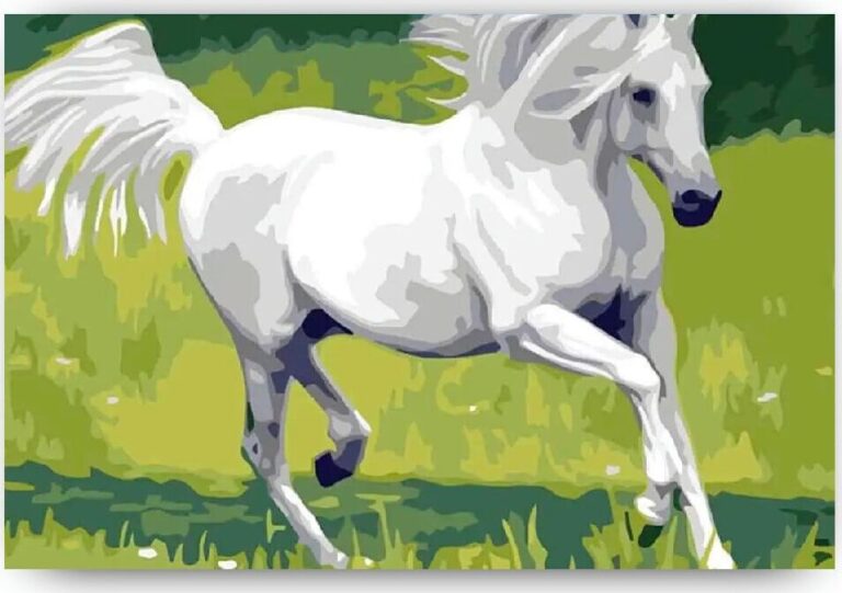 Diamond Painting Wit Paard voorbeeldafbeelding van het volledige ontwerp