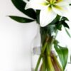 Diamond Painting Witte Lelies, Open Bloei voorbeeldafbeelding van het volledige ontwerp