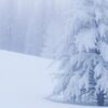 Diamond Painting Zachte sneeuwval in winterlicht voorbeeldafbeelding van het volledige ontwerp