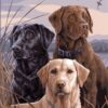 Diamond Painting Drie Labradors voorbeeldafbeelding van het volledige ontwerp