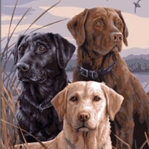 Diamond Painting Drie Labradors voorbeeldafbeelding van het volledige ontwerp