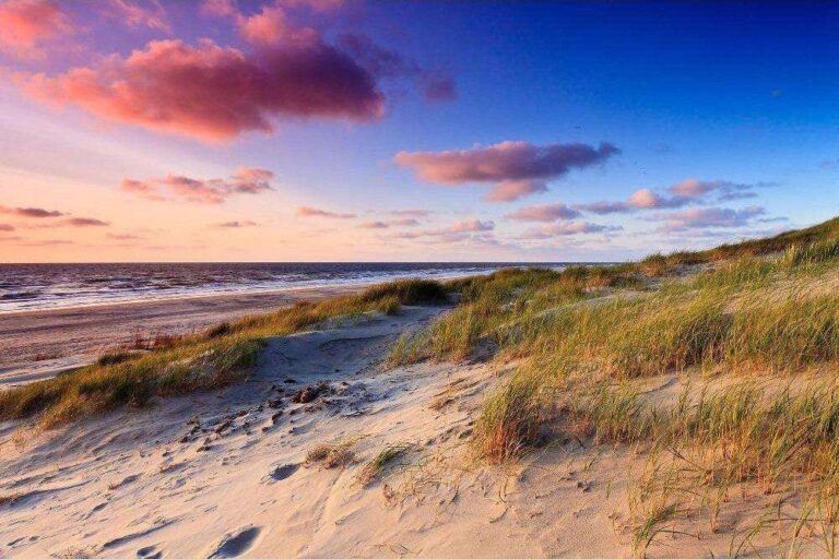Diamond Painting Duinen 1 voorbeeldafbeelding van het volledige ontwerp