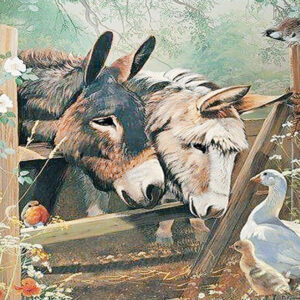 Diamond Painting - Ezels en gans bij een hek voorbeeldafbeelding van het volledige ontwerp
