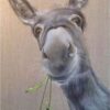 Diamond Painting Ezel voorbeeldafbeelding van het volledige ontwerp