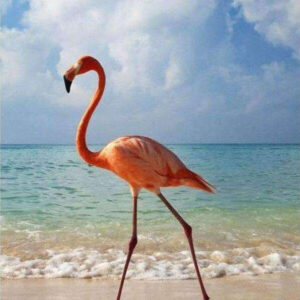 Diamond Painting Flamingo Op Het Strand voorbeeldafbeelding van het volledige ontwerp