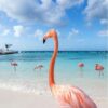 Diamond Painting Flamingo Strand voorbeeldafbeelding van het volledige ontwerp