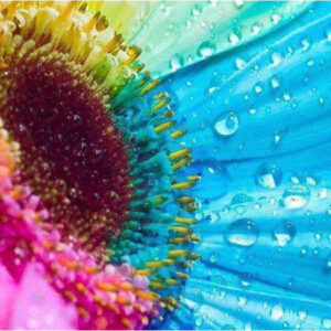 Diamond Painting Gekleurde Bloem Condens voorbeeldafbeelding van het volledige ontwerp