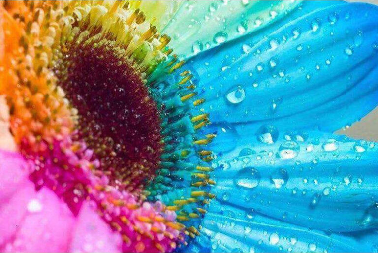 Diamond Painting Gekleurde Bloem Condens voorbeeldafbeelding van het volledige ontwerp