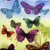 Diamond Painting Gekleurde Vlinders Samen voorbeeldafbeelding van het volledige ontwerp