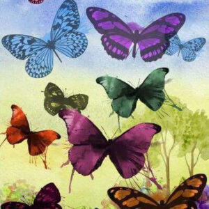 Diamond Painting Gekleurde Vlinders Samen voorbeeldafbeelding van het volledige ontwerp