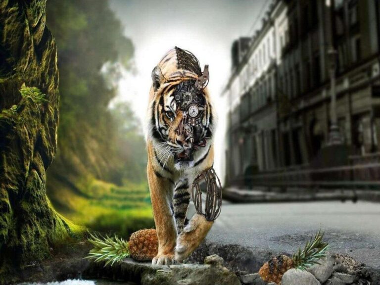 Diamond Painting Half Tijger Robot voorbeeldafbeelding van het volledige ontwerp