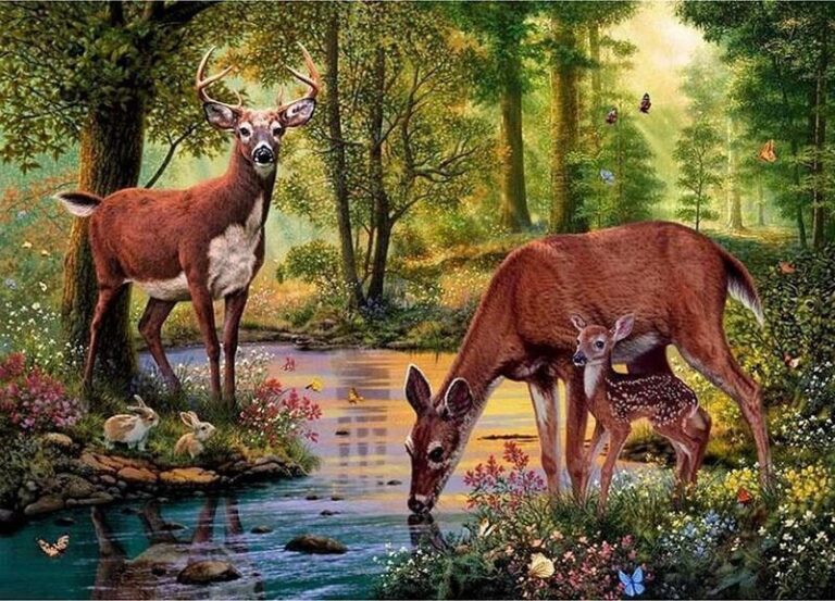 Diamond Painting Hert voorbeeldafbeelding van het volledige ontwerp